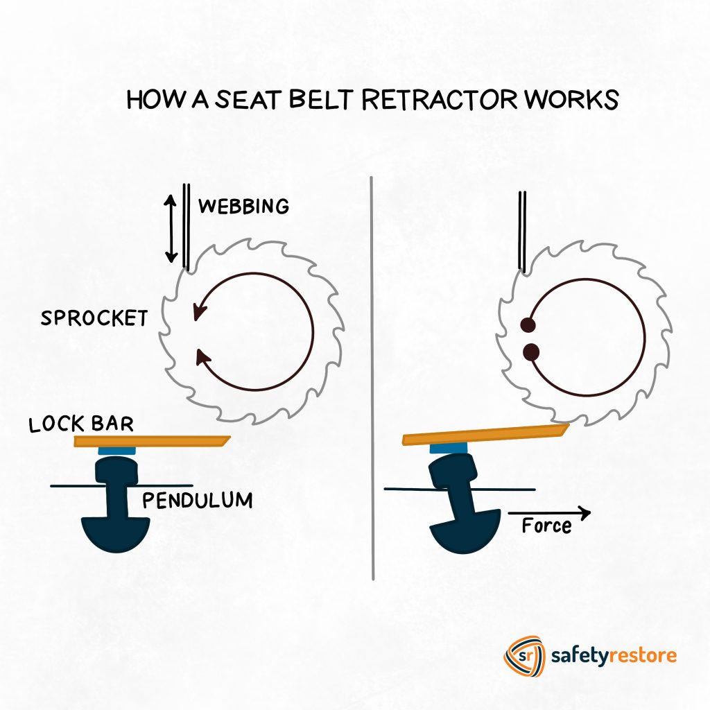 The Lifesaving Importance of Wearing a Seat Belt