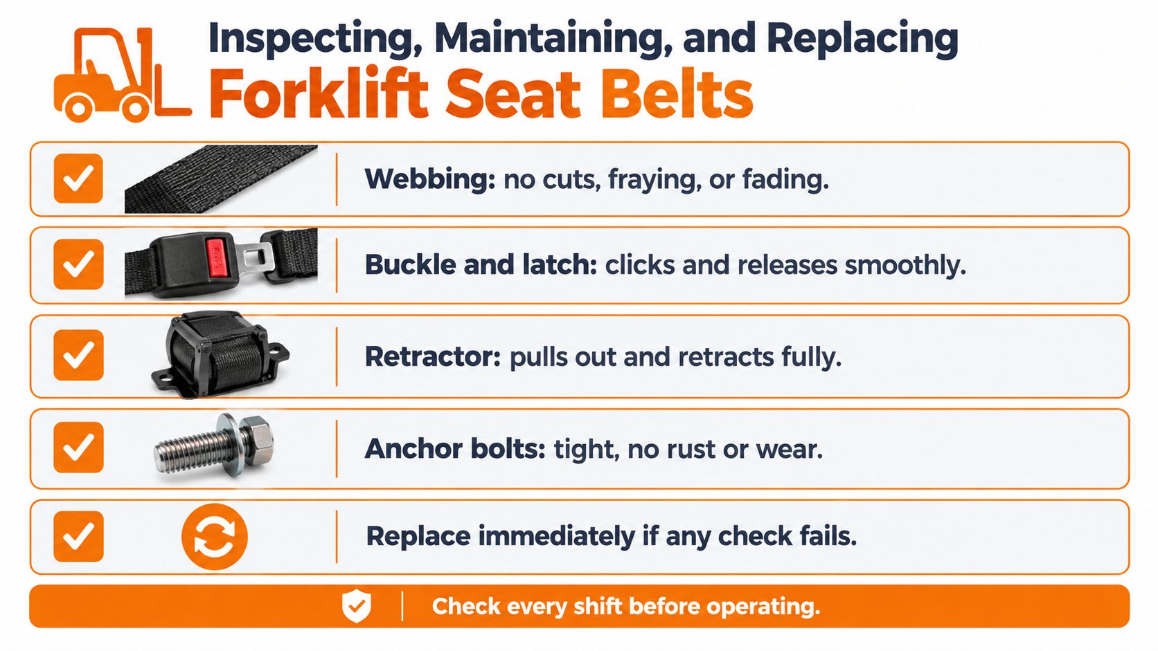 A safety infographic showing key inspection points for a forklift seat belt, including webbing, buckles, and bolts.