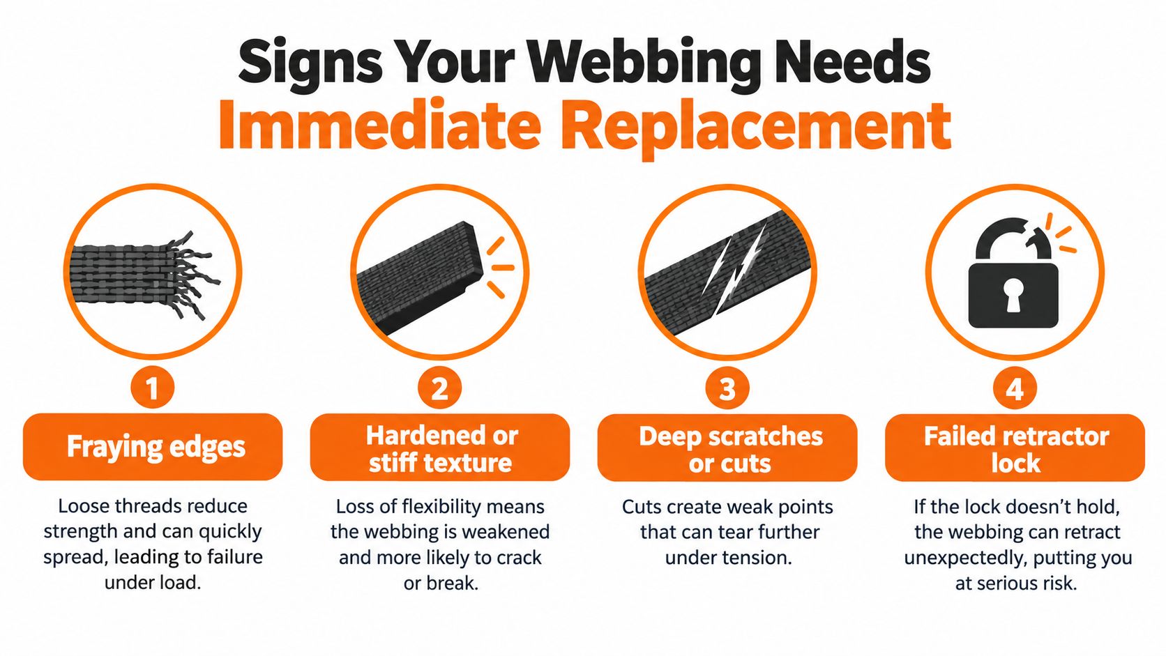 An infographic showing four common signs that seat belt webbing needs immediate replacement for safety.